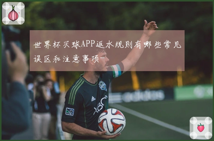 世界杯买球APP返水规则有哪些常见误区和注意事项-