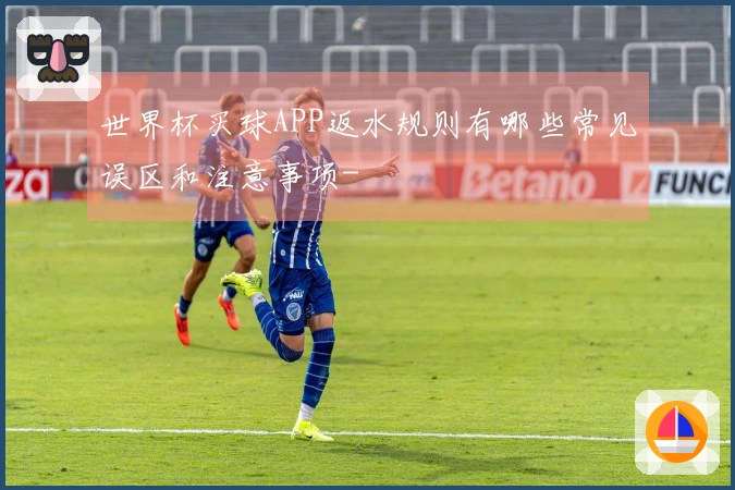 世界杯买球APP返水规则有哪些常见误区和注意事项-