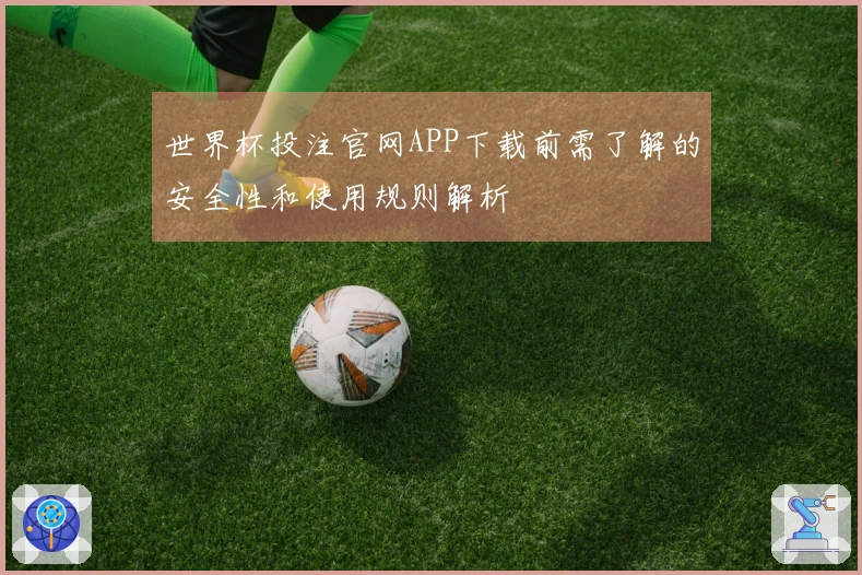 世界杯投注官网APP下载前需了解的安全性和使用规则解析