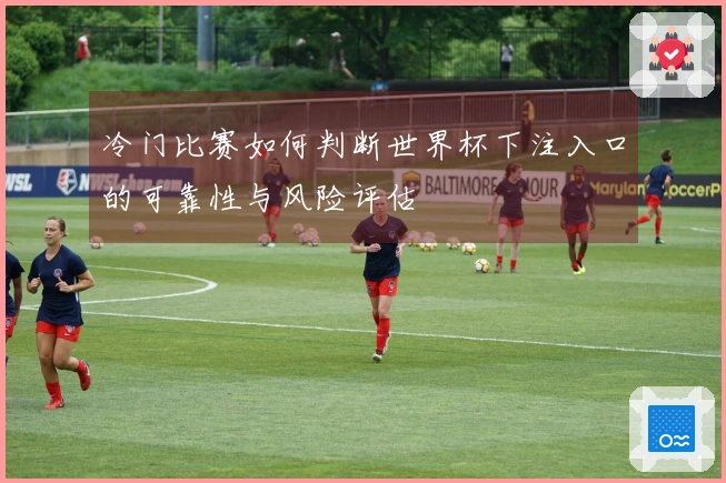 冷门比赛如何判断世界杯下注入口的可靠性与风险评估