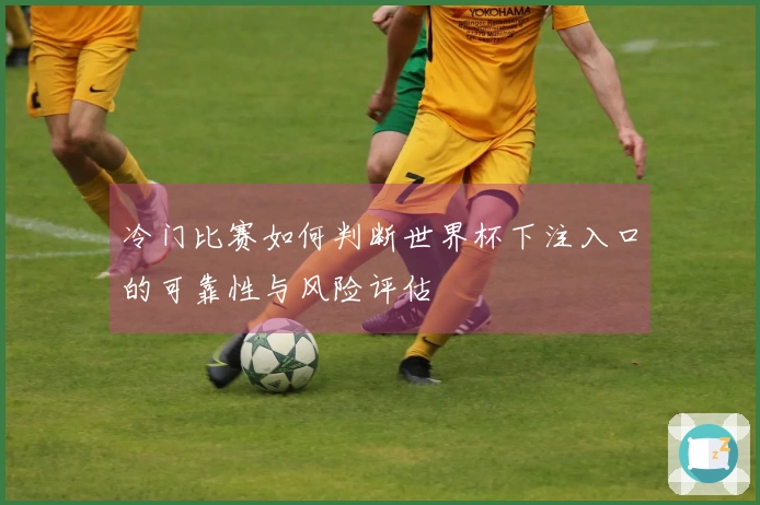 冷门比赛如何判断世界杯下注入口的可靠性与风险评估