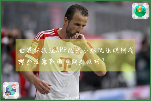 世界杯投注APP的大小球玩法规则有哪些注意事项与辨别技巧?